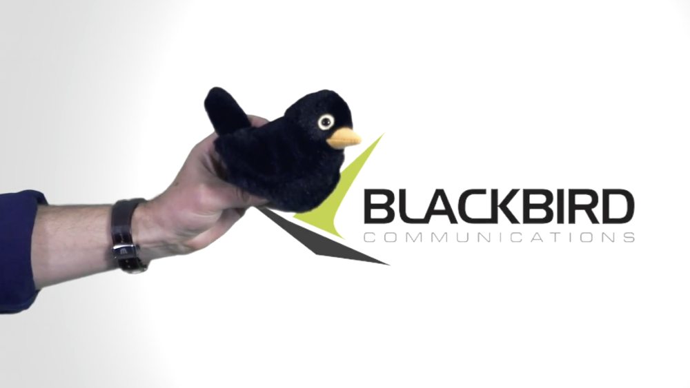 Hertfordshire PR agency Blackbird