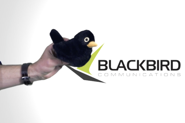 Hertfordshire PR agency Blackbird